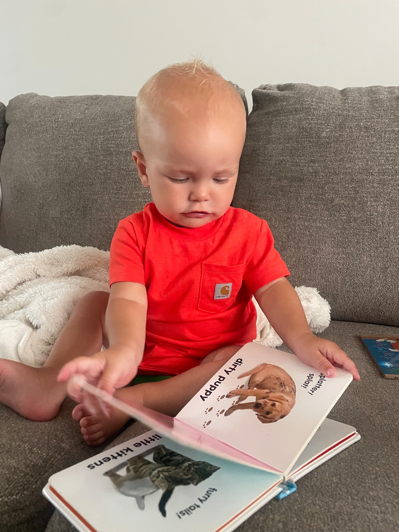 Baby boy Carhart onesie and his favorite book to look at from Amazon! 

#LTKKids #LTKBaby #LTKFamily