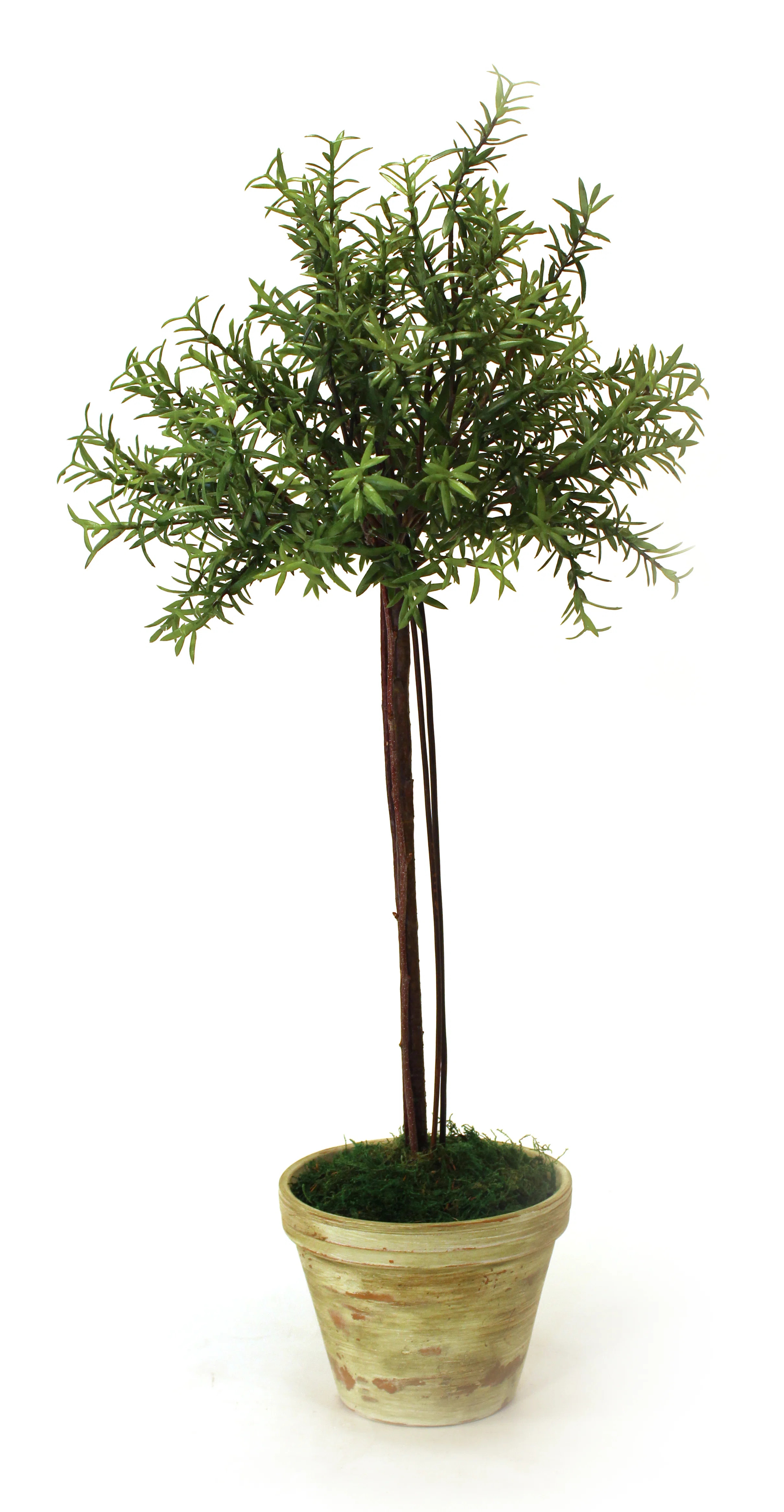 32'' Faux Olive Tree Topiary in Terracotta Pot | Wayfair North America