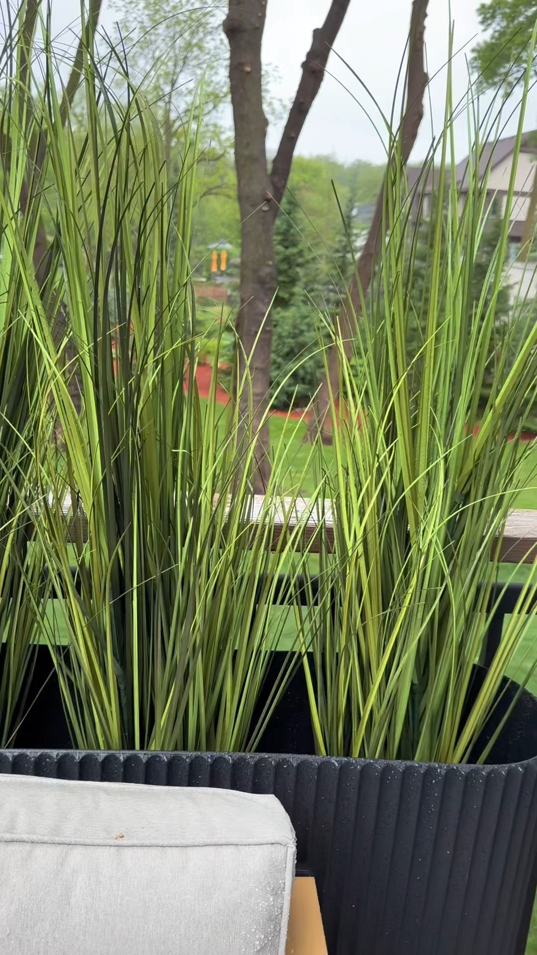 Favorite Amazon faux plants at my home 

#LTKFindsUnder100 #LTKHome #LTKSeasonal
