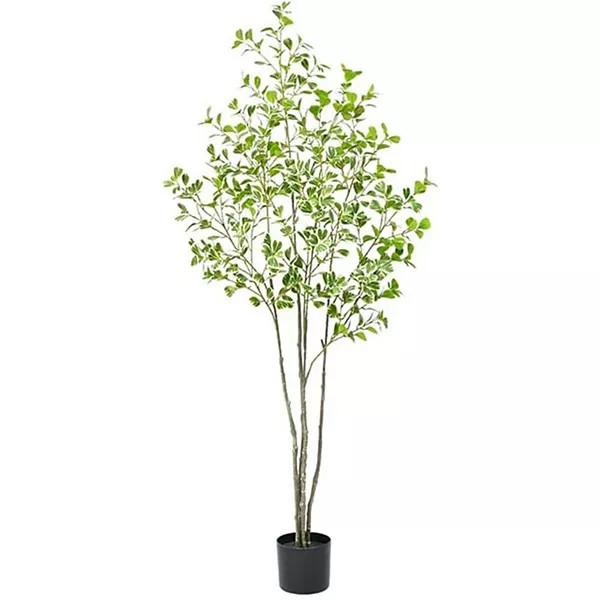 Olive Tree Artificial Indoor 5FT Faux Silk Plant White Planter | Kohl's