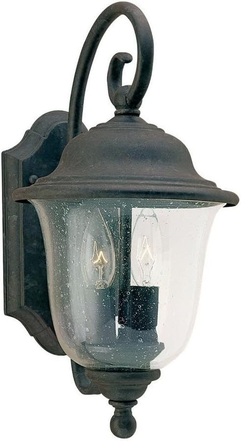 Sea Gull Lighting 8459-46 Trafalgar Two-Light Outdoor Wall Lantern with Clear Seeded Glass Shade,... | Amazon (US)