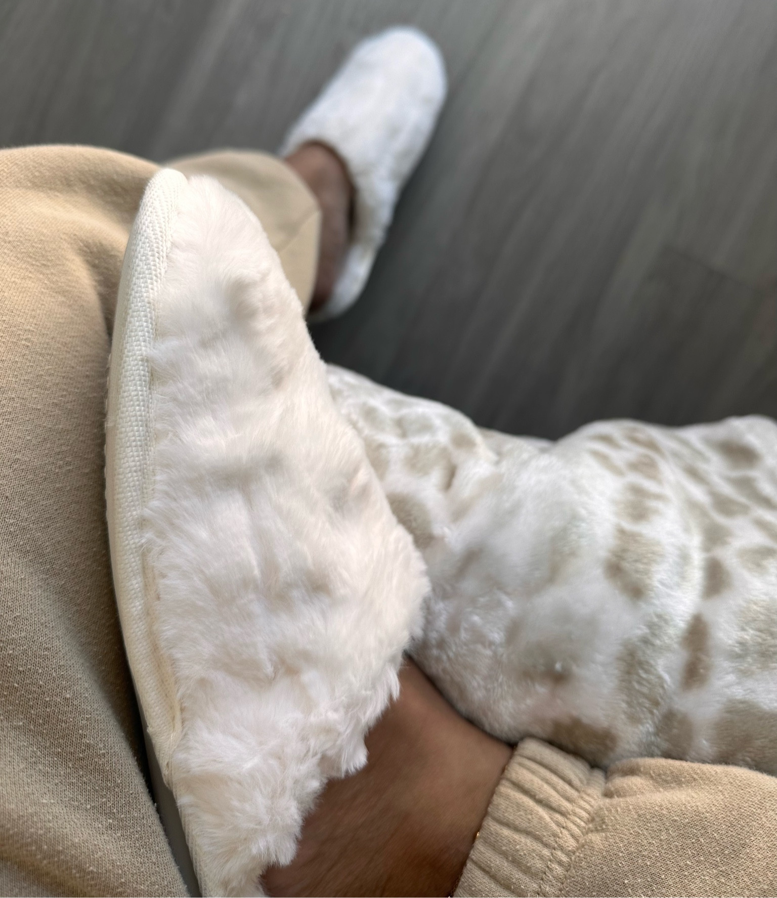 I’m a sucker for cozy slippers 🤍

#LTKfindsunder50 #LTKshoecrush
