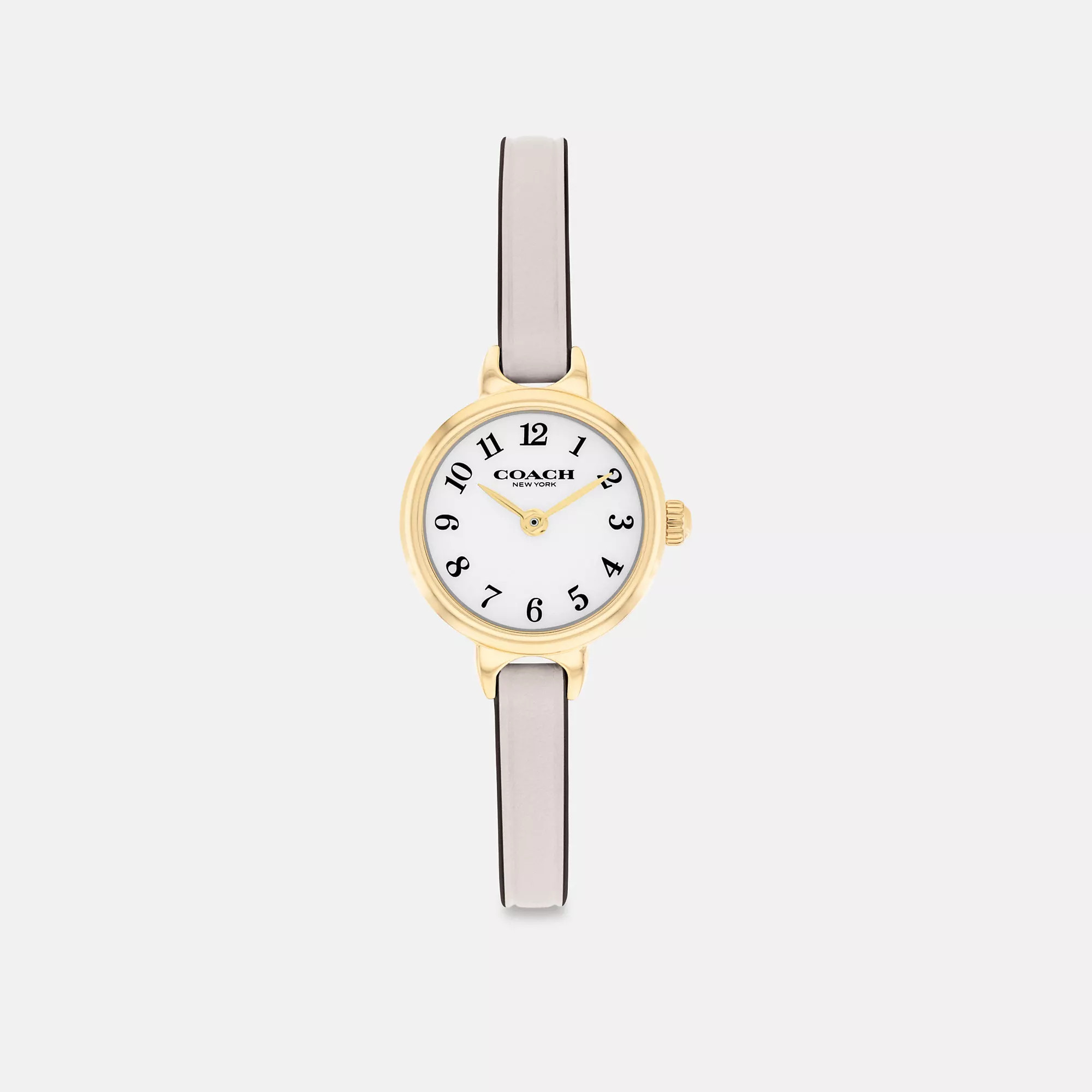 Iris Watch, 22 Mm | Coach (US)