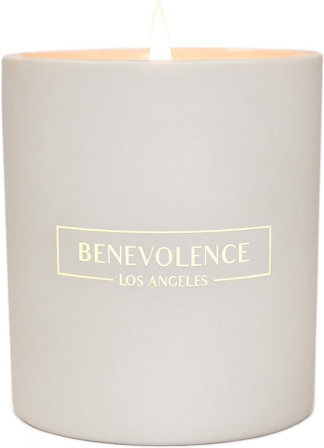 Premium Scented Candle Soy Candle | Luxurious Redcurrant & Vanilla Aromatherapy | Ceramic Jar Veg... | Amazon (US)