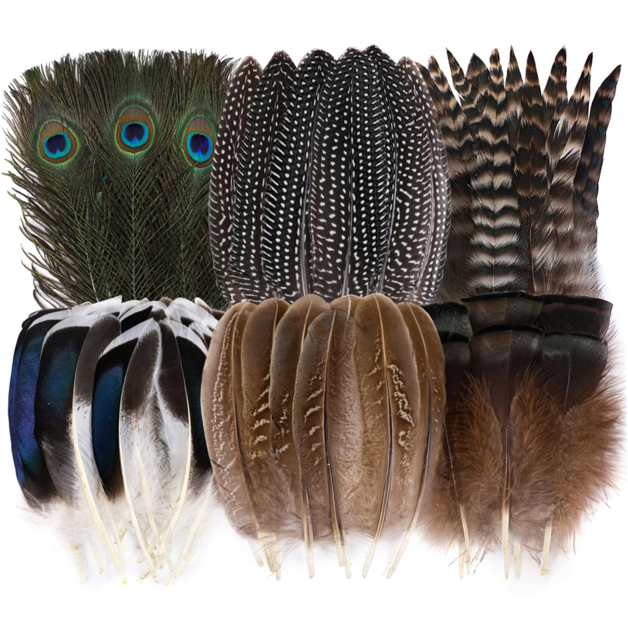 Holmgren 24pcs Natural Feathers Bulk - 6 Styles Assorted Peacock, Pheasant, Turkey Feathers for C... | Amazon (US)