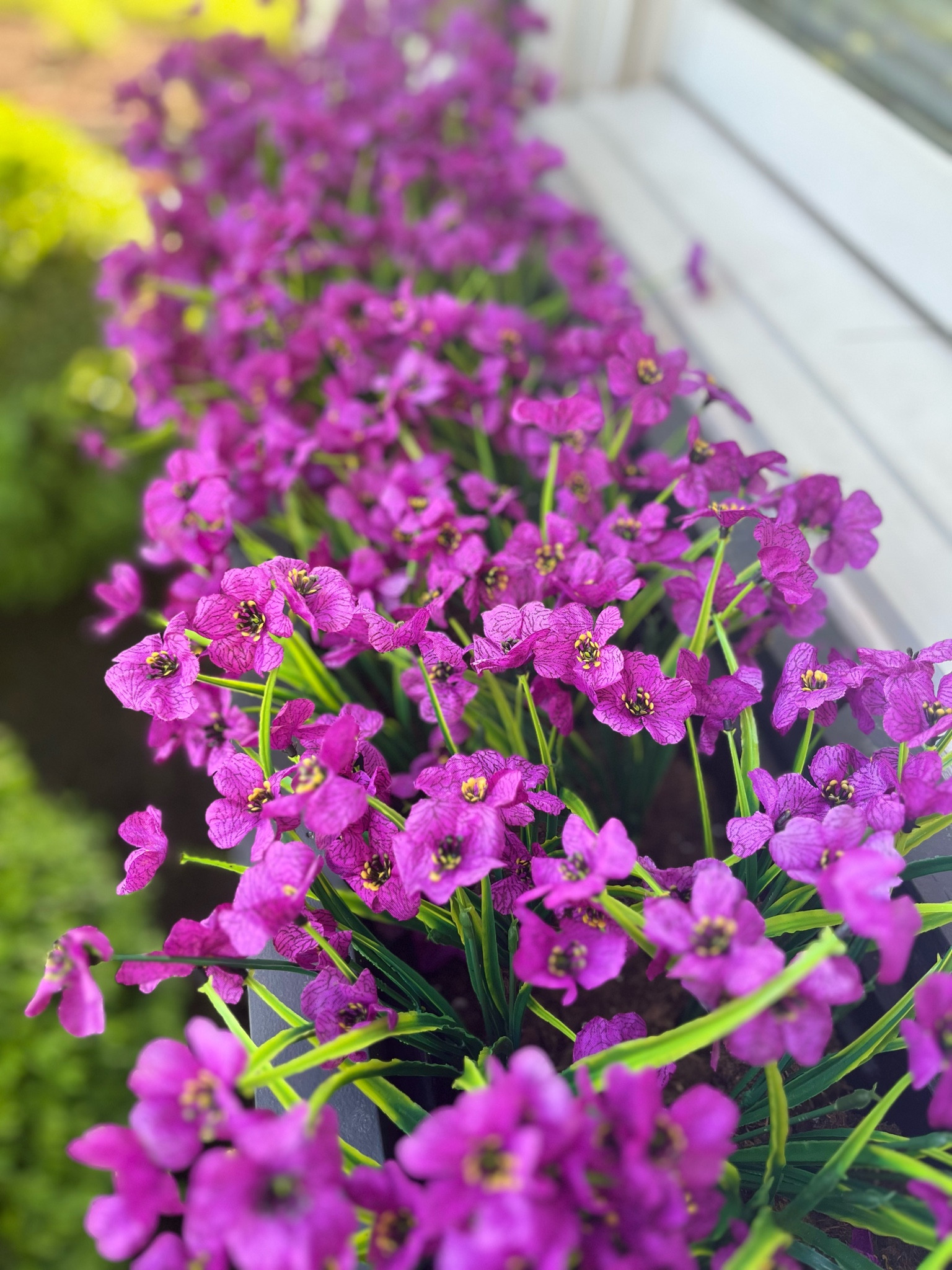 Shallow window boxes that are impossible to keep watered?! Faux florals to the rescue! Affordable, UV resistant and pretty I’m so glad I bought these!

#LTKFindsUnder50 #LTKSaleAlert #LTKHome