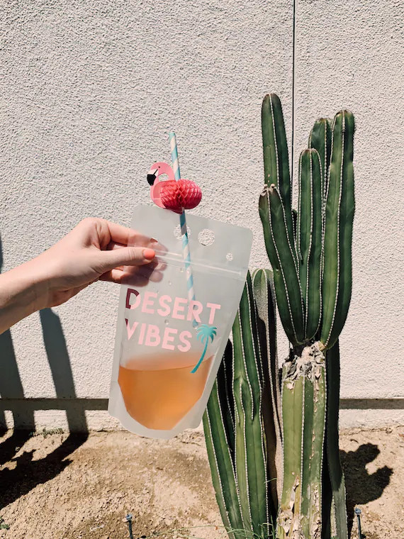 Desert Vibes  Party Pouches  Palm Springs Bachelorette  - Etsy | Etsy (US)