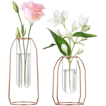 2 Pcs Flower Vases with Iron Art Frame, Geometric Plant Pot, Centerpiece Plant Vase, Plants Tabletop | Amazon (US)