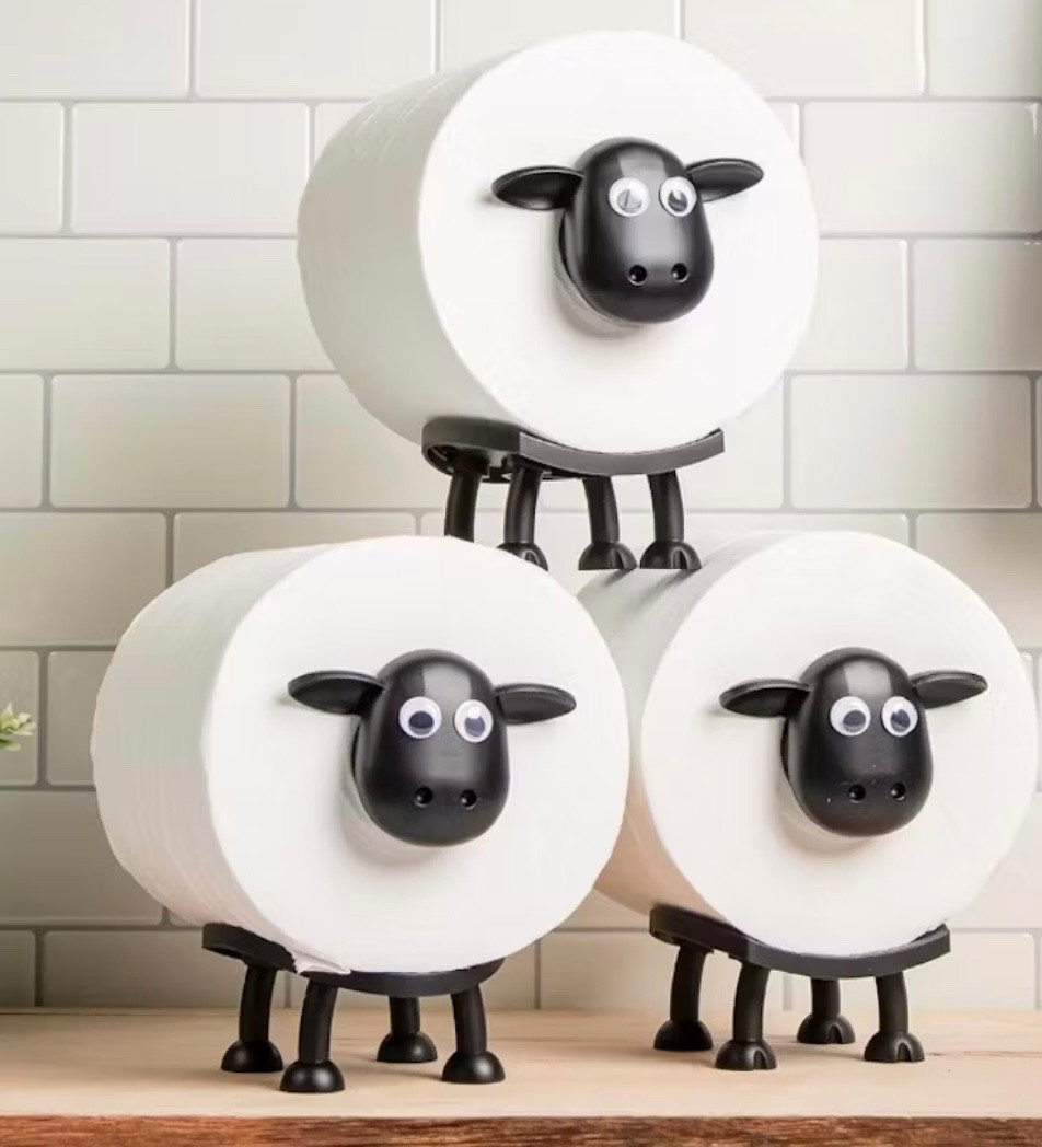 Weird but fun gifts 🎁 

#LTKOver40 #LTKGiftGuide #LTKSeasonal