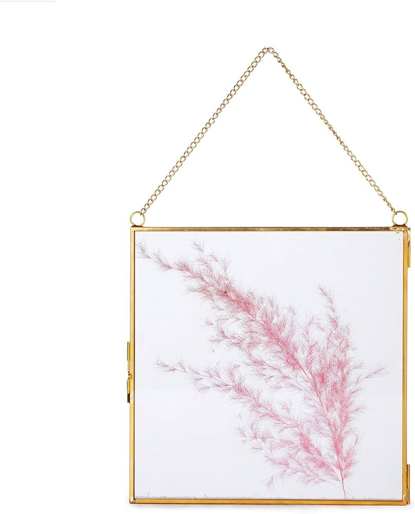 NCYP Double Glass Floating Frame 8" x 8" for Pressed Dried Flowers, Photo, Picture - Modern Indoo... | Amazon (US)