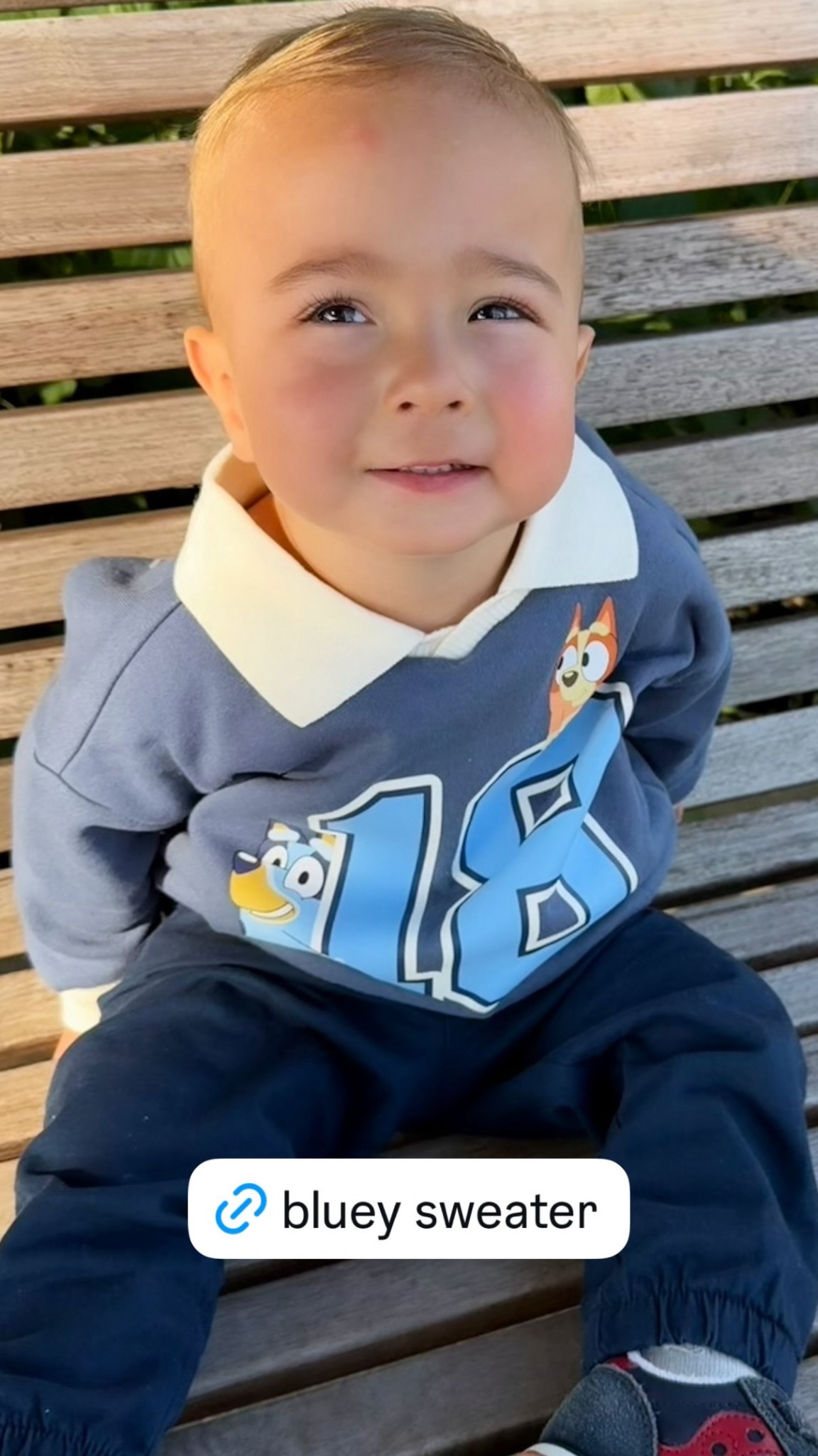 Bluey Sweater for Toddler 
Toddler Outfit 

#LTKKids #LTKBaby