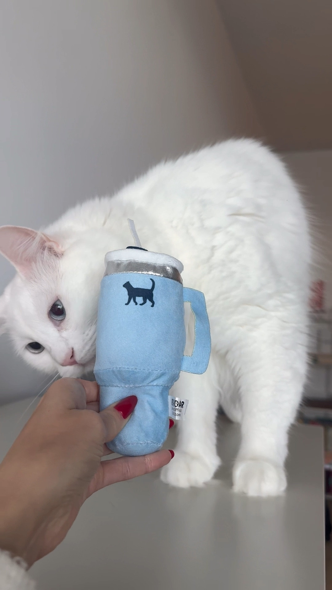 Got my cats the cutest new toys! Now Chanel and Dior are on the Stanley Cup trend 🐱💕

#LTKSaleAlert #LTKFamily #LTKHome