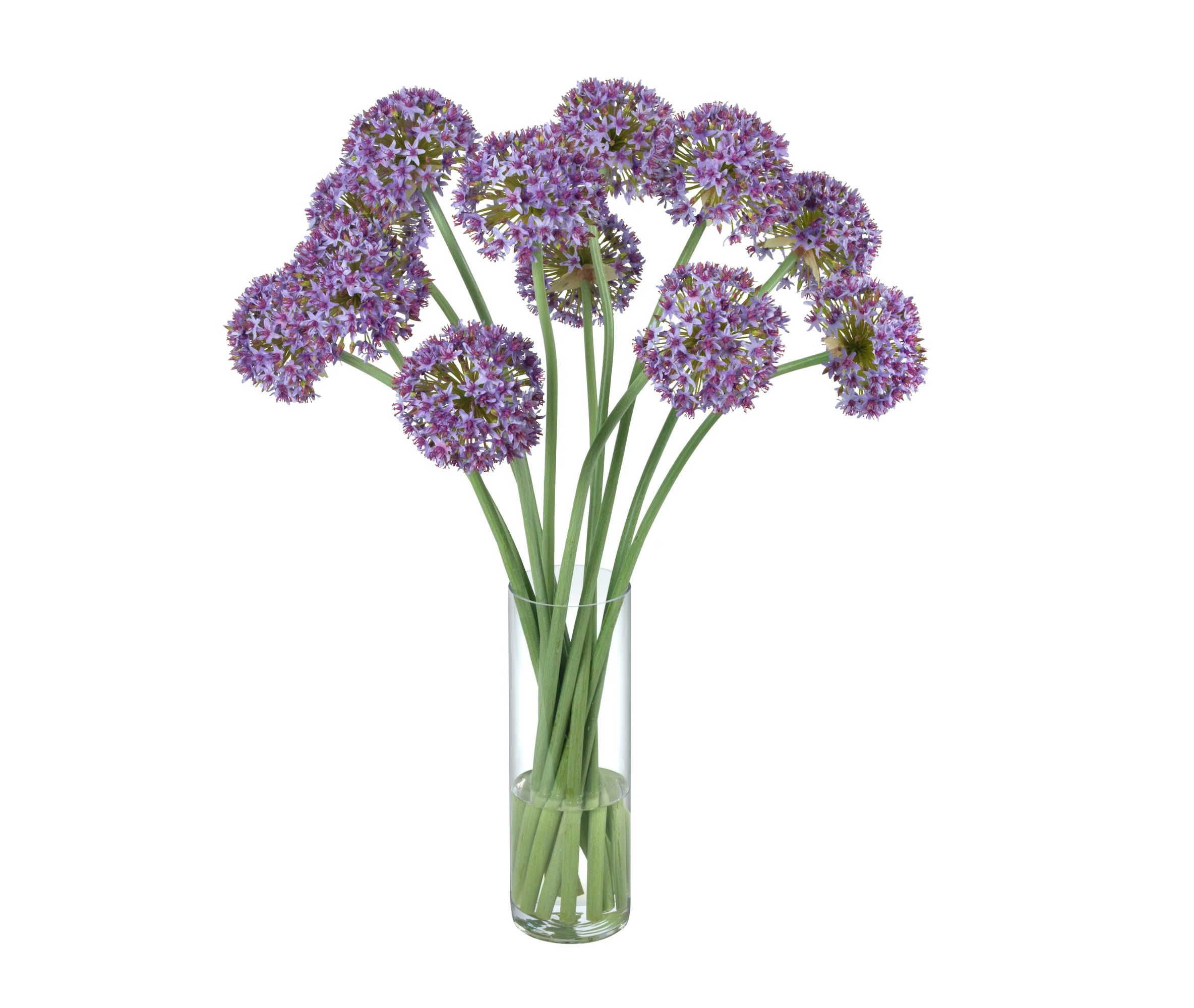 Alliums in Tall Glass Cylinder | Ashley Stark Home