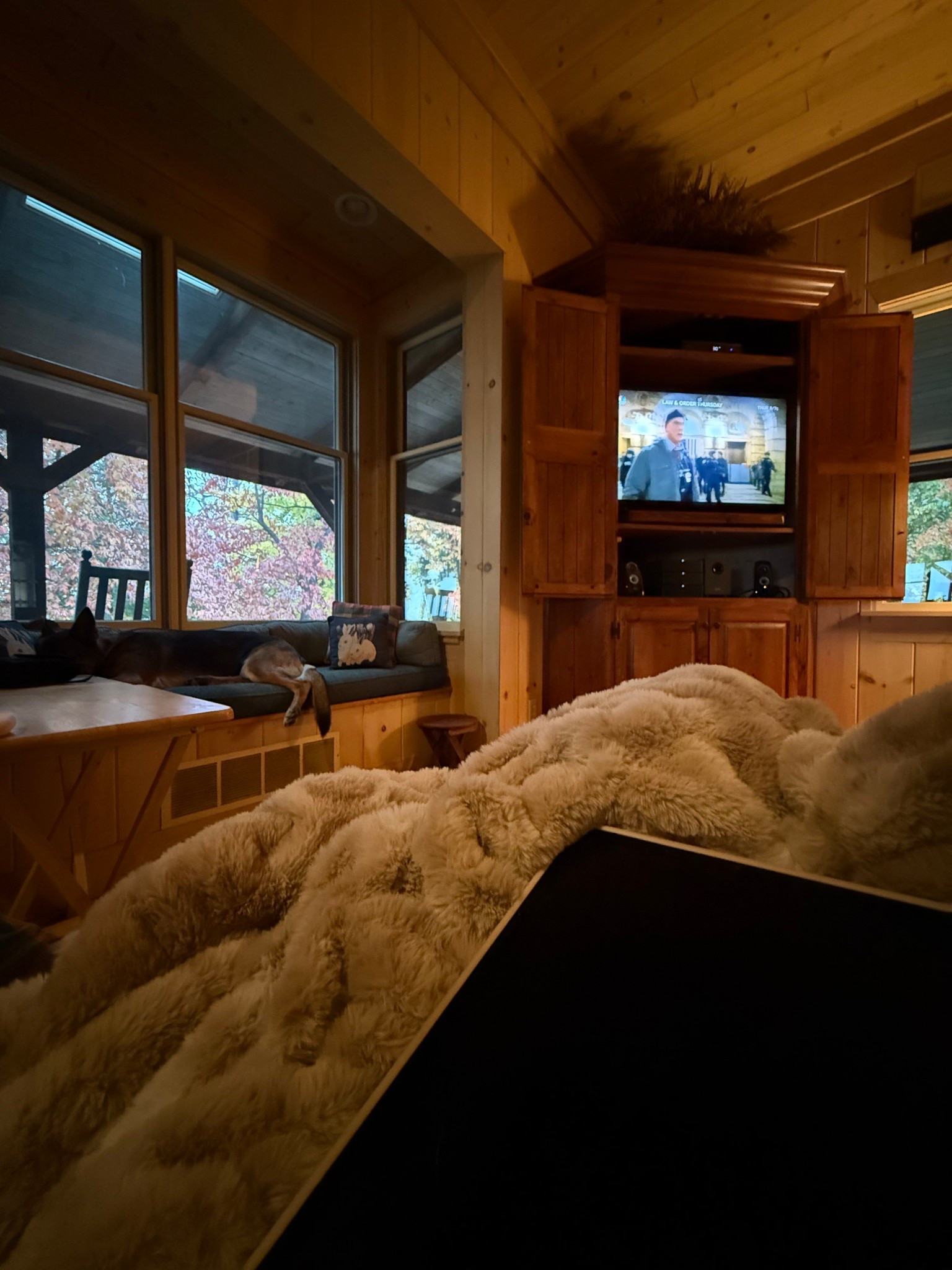 Cozy fall afternoon 🧡 

#LTKHome #LTKSeasonal #LTKTravel