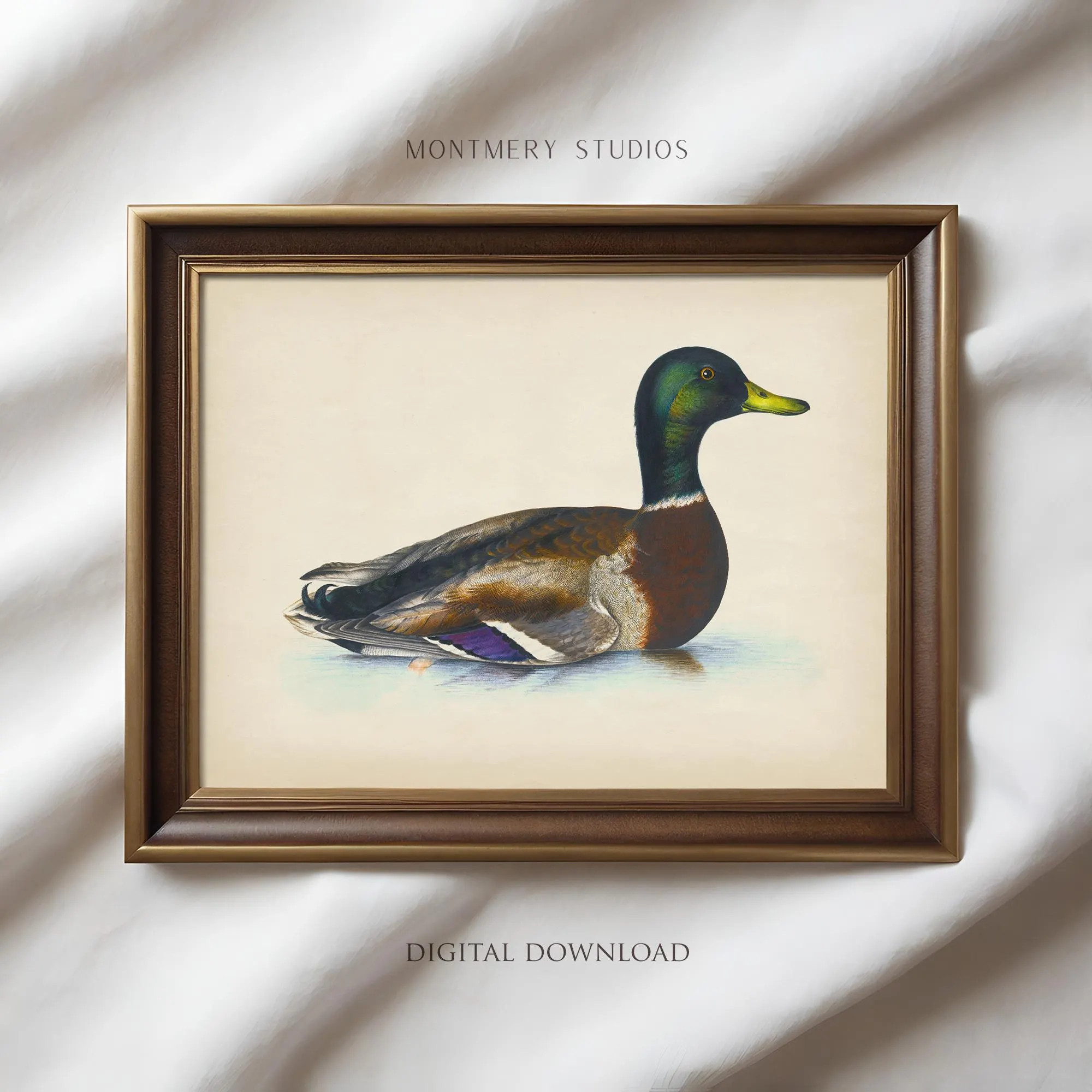Vintage Mallard Duck Print, Mallard Nursery Wall Art, Rustic Duck Painting, Country Farmhouse Art, Antique Duck Print Digital Download AN117 | Etsy (Global)