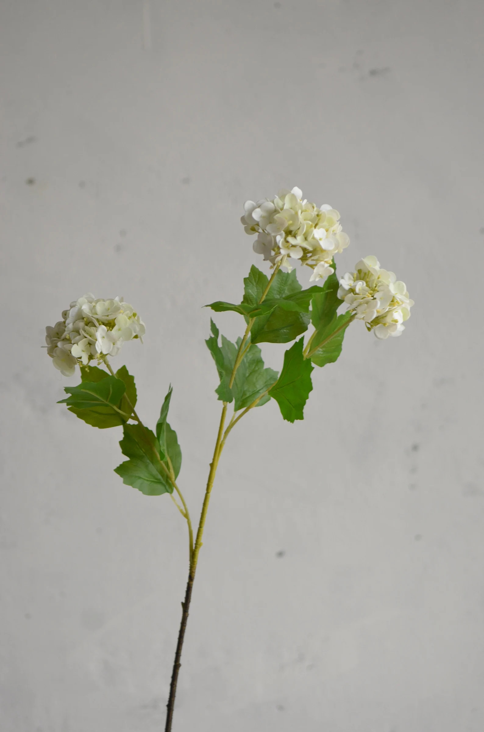 25 Faux Snowball Flower in Cream/green Real Touch - Etsy | Etsy (US)