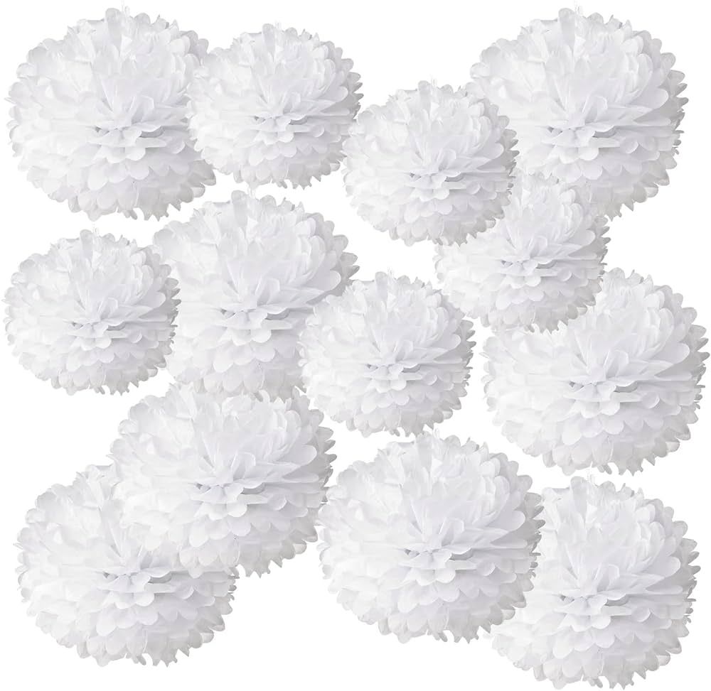 Tim&Lin White Paper Pom Poms - Party Tissue Paper Flowers Balls - Party Hanging Decoration Suppli... | Amazon (US)