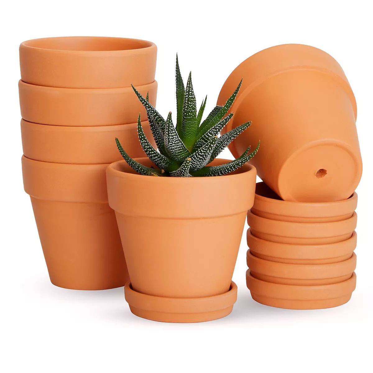 6 Pack Small Terracotta Pots With Round Saucers For Succulents, Plants, Flowers (4 Inches) | Kohl's