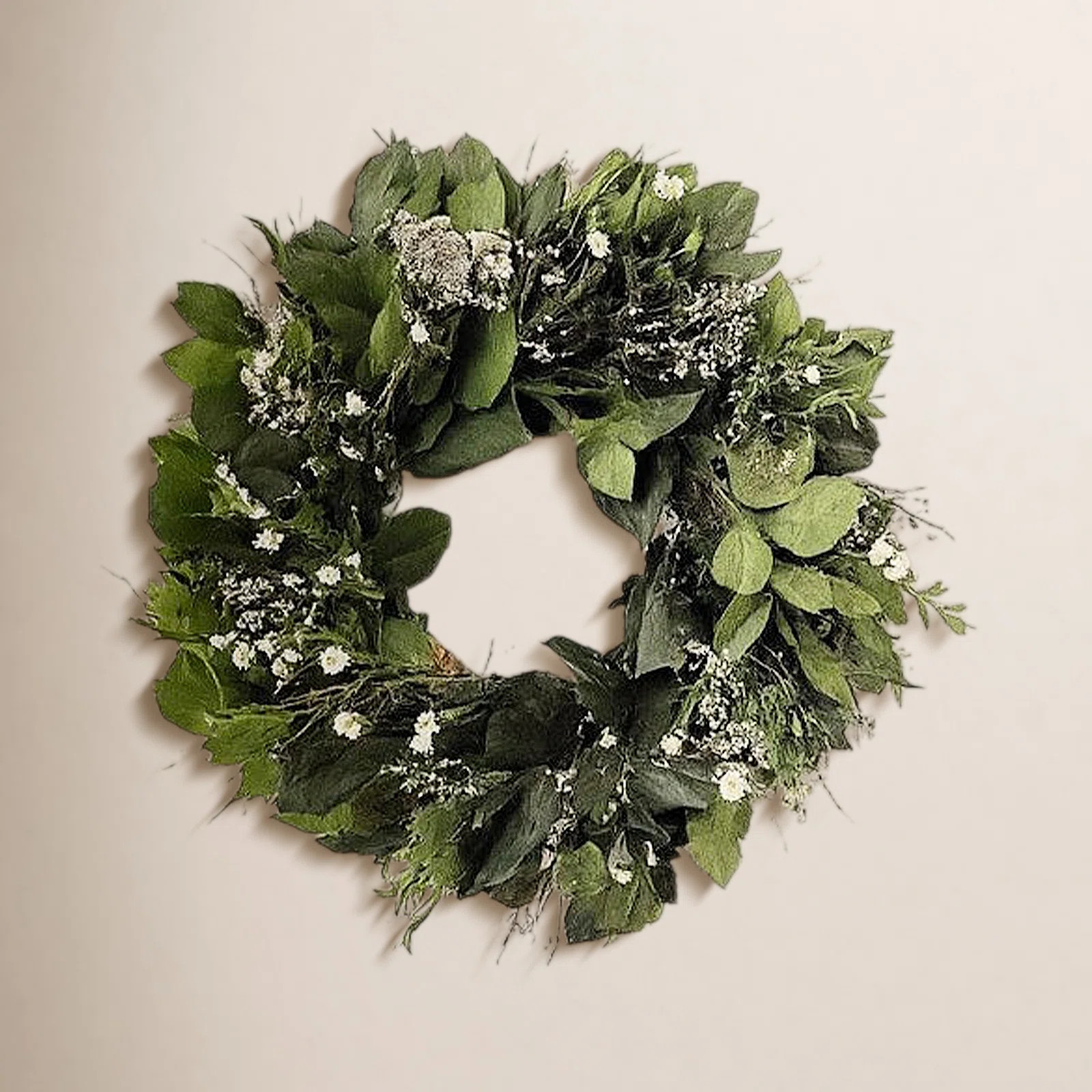 Natural Preserved and Dried Flower Green Leaves, Boxwood, and Ammobium Wreath | Joss & Main
