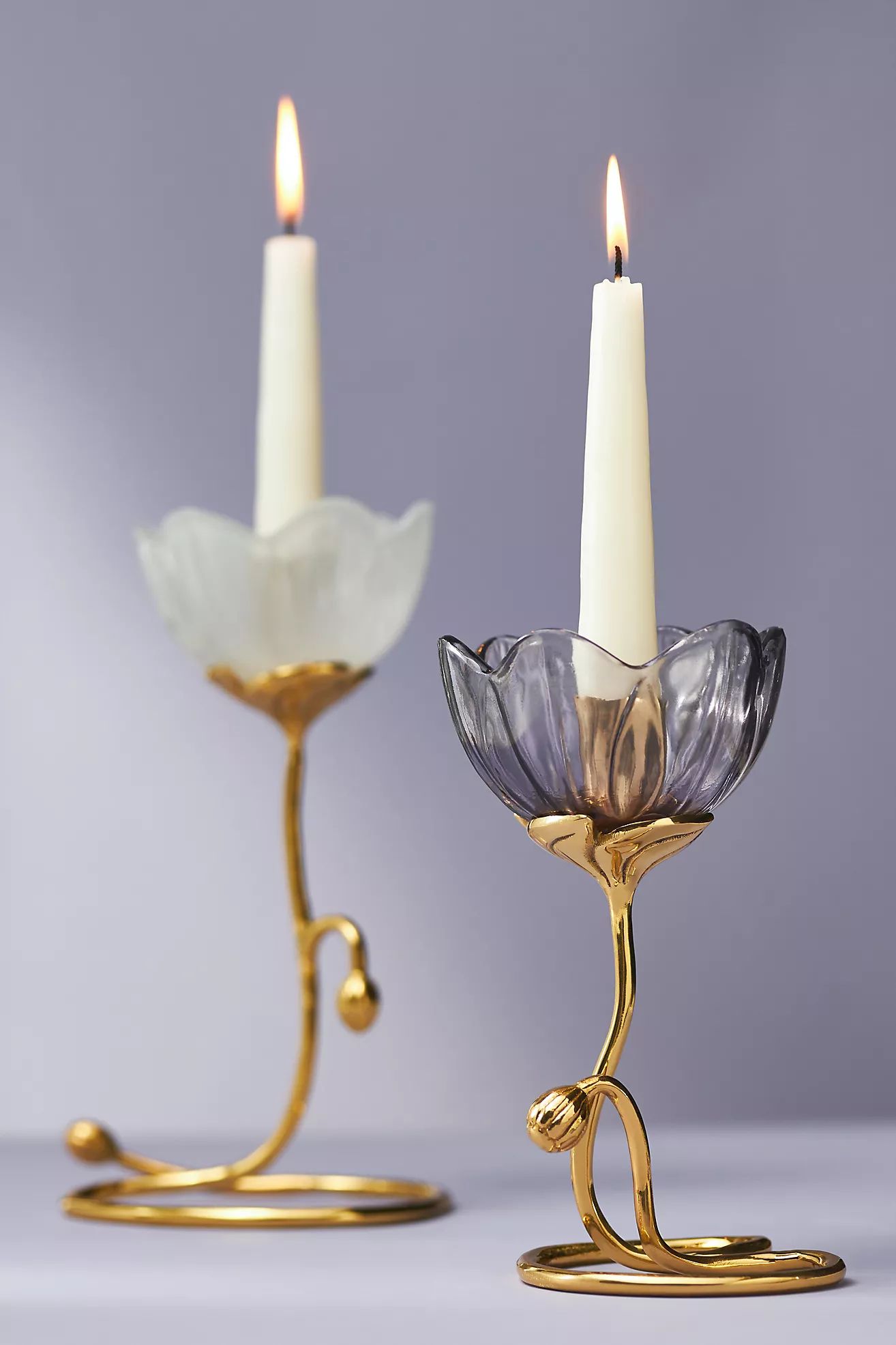 Petunia Candle Holder | Anthropologie (US)