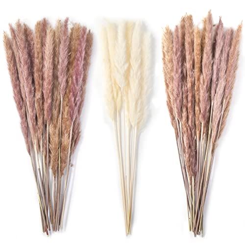 Dried Pampas Bundle  | Amazon (US)