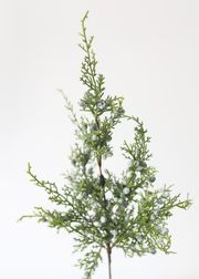Faux Juniper Spray with Berries in Green - 18" TallDefault Title | Afloral (US)