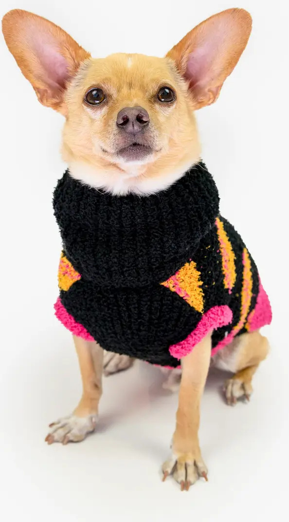 Hot Doggie Turtleneck Pet Sweater | Nordstrom