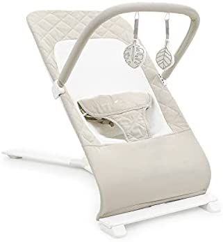 Baby Delight Alpine Deluxe Portable Infant Bouncer - 100% GOTS Certified Organic Cotton Fabric, O... | Amazon (US)