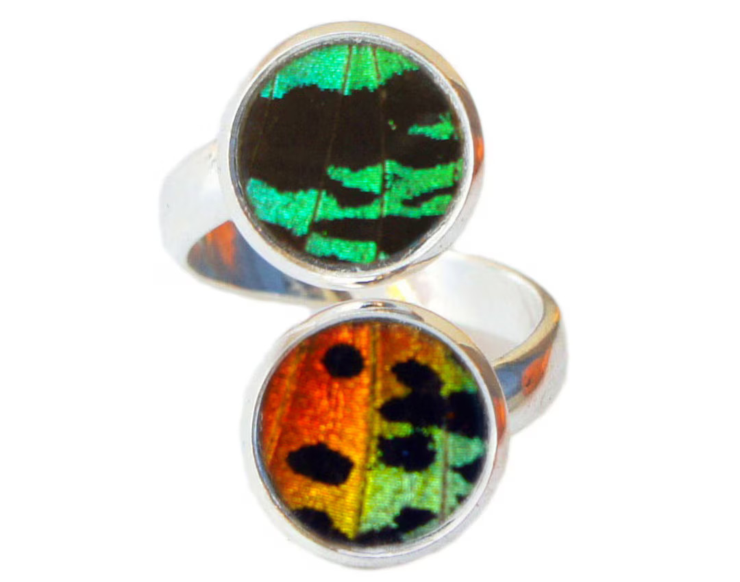 Real Butterfly Wing Ring - Double Pendant Silver Sunset Moth Ring | Etsy (US)