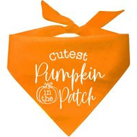 Cutest Pumpkin in The Patch Triangle Dog Bandana | Etsy (US)