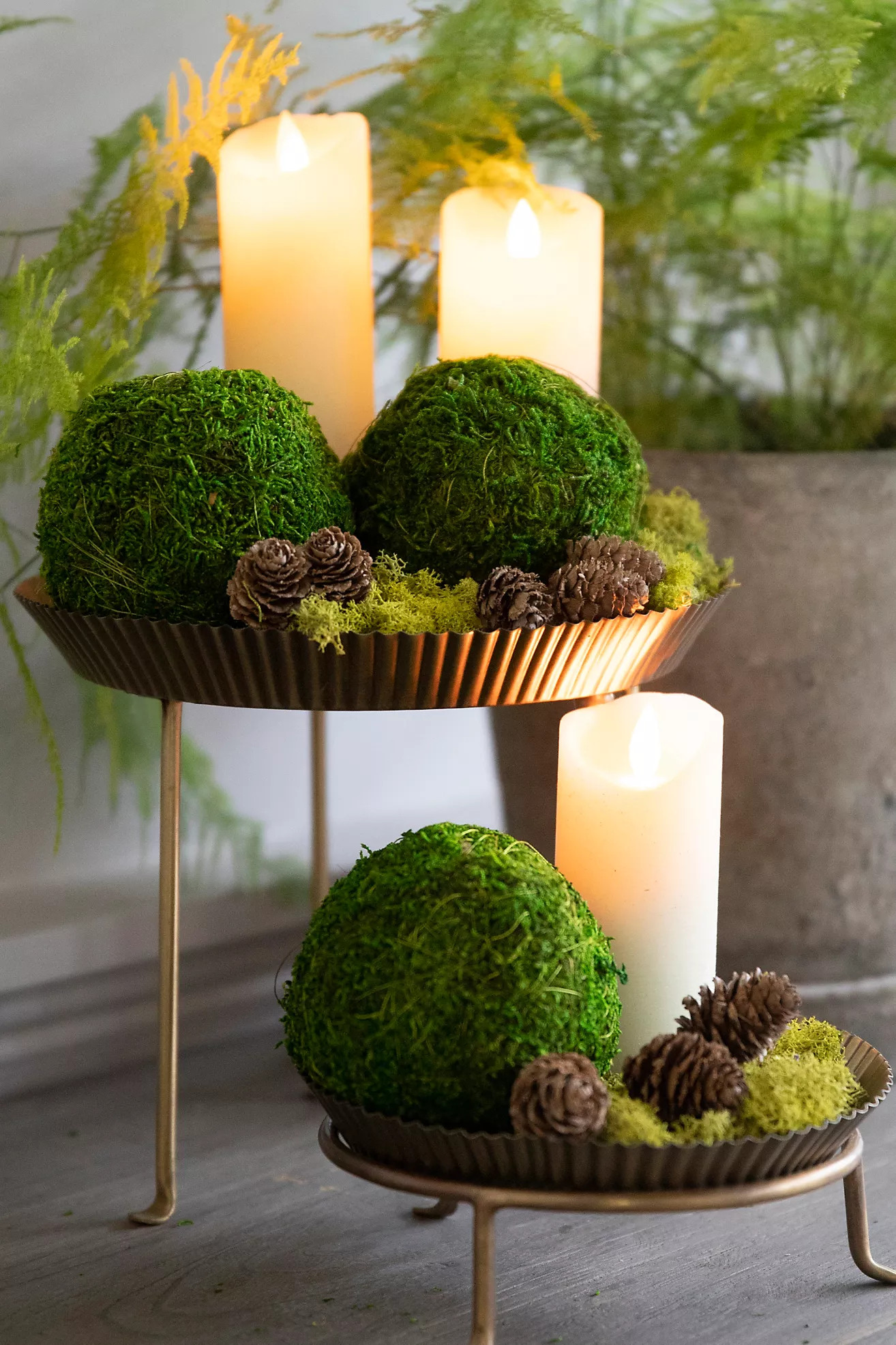 Natural Moss Balls, Set of 3 | Anthropologie (US)