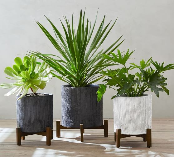 Bungalow Planter Collection | Pottery Barn (US)