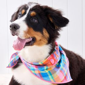 Patterned Dog Bandana | Mark and Graham
