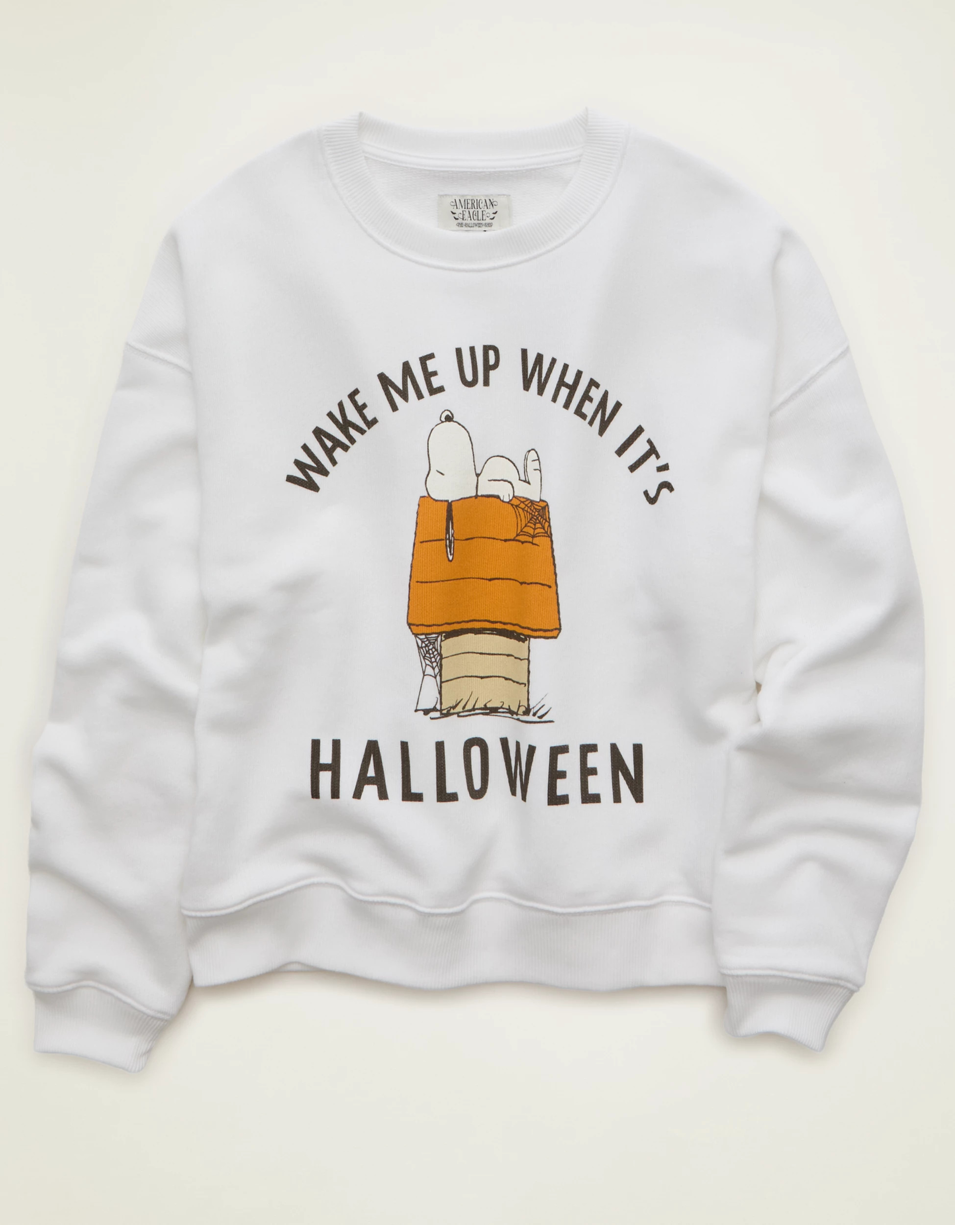 AE Peanuts Halloween Graphic Sweatshirt | American Eagle Outfitters (US & CA)