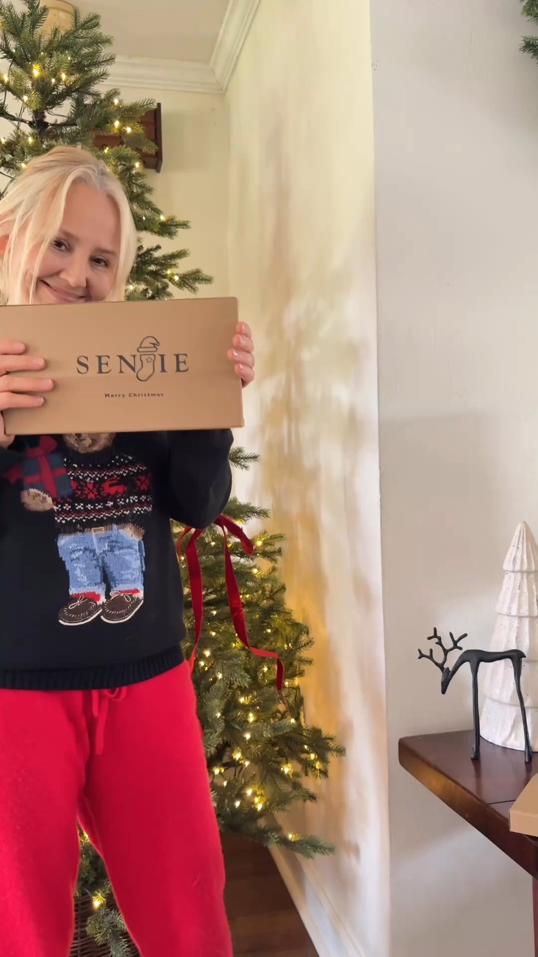 Christmas decor. Senjie Red velvet bows . Christmas tree style. Traditional tree style. Traditional Christmas 

#ltk #ltkfinds

#LTKFindsUnder50 #LTKSeasonal #LTKHome