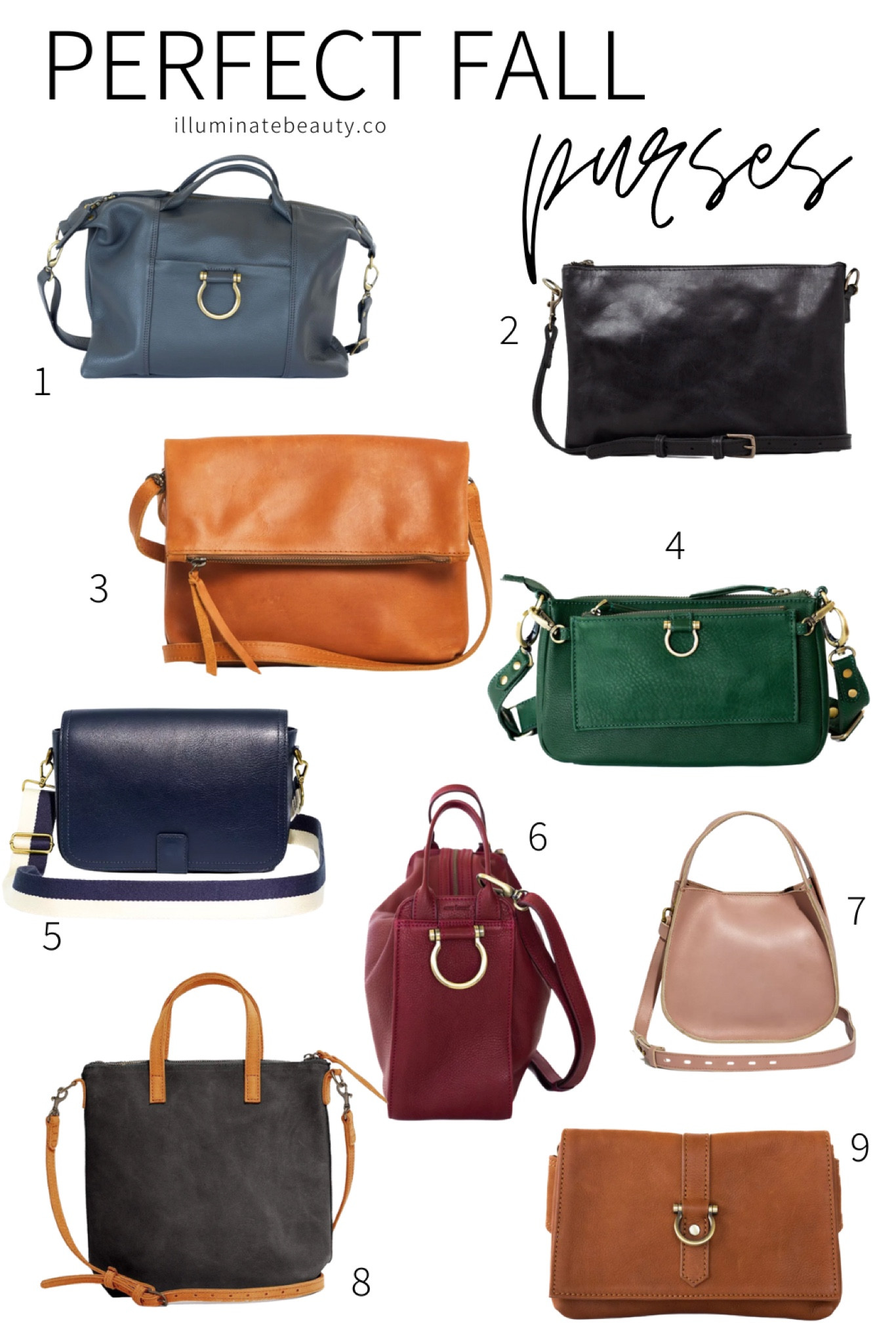 Perfect Fall Purses

#LTKstyletip #LTKSeasonal