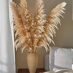 Pampas Grass- 48 inch (4ft) Pampas Grass Decor Tall -5 Stems Natural Dried Grass Pompas Decor-5 Pcs  | Amazon (US)