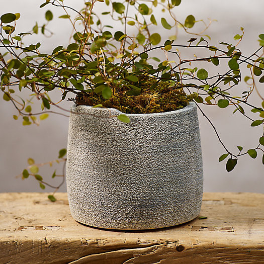 Notch Top Ceramic Planter | Terrain