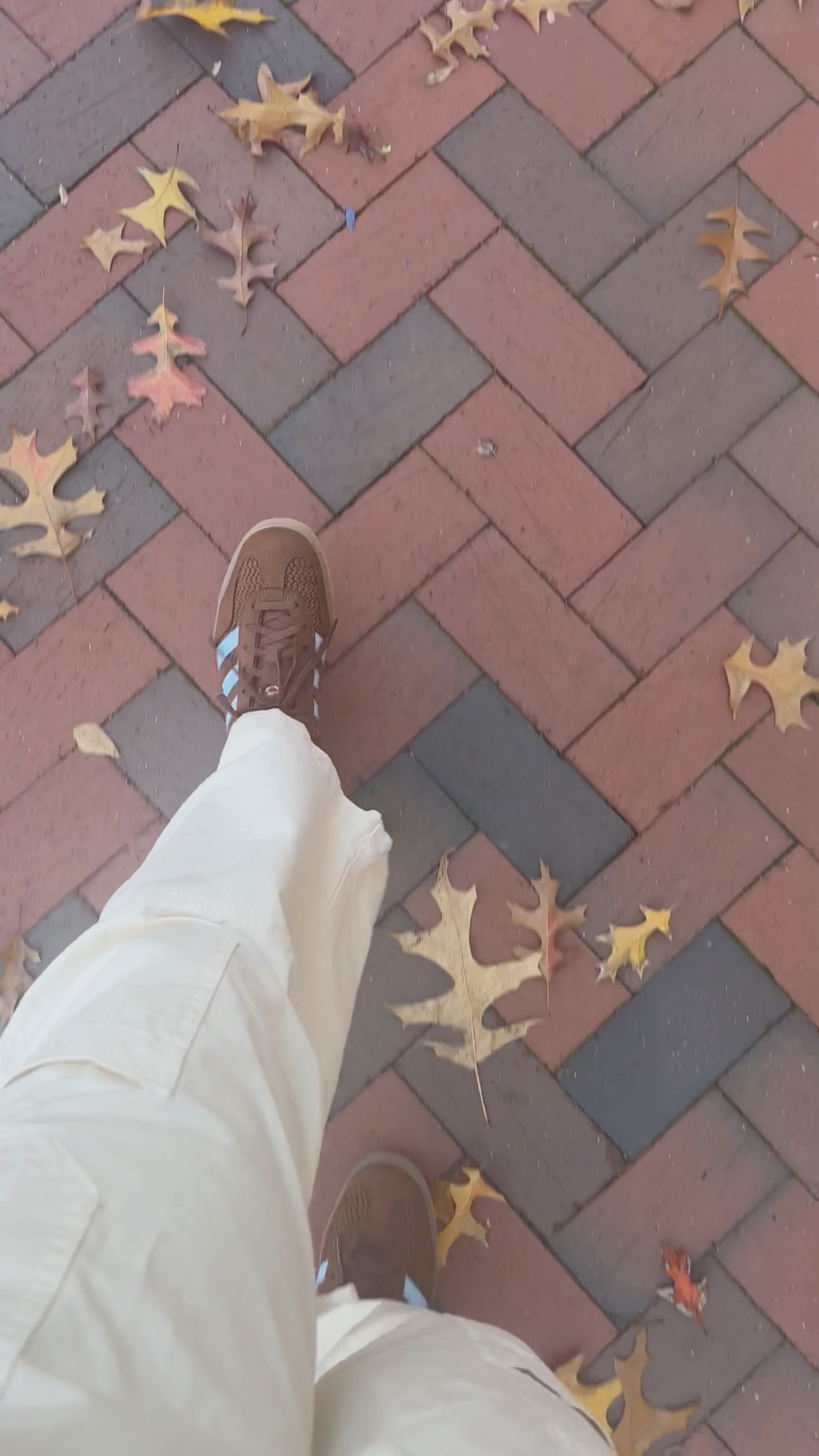 New everyday sneaker 

 