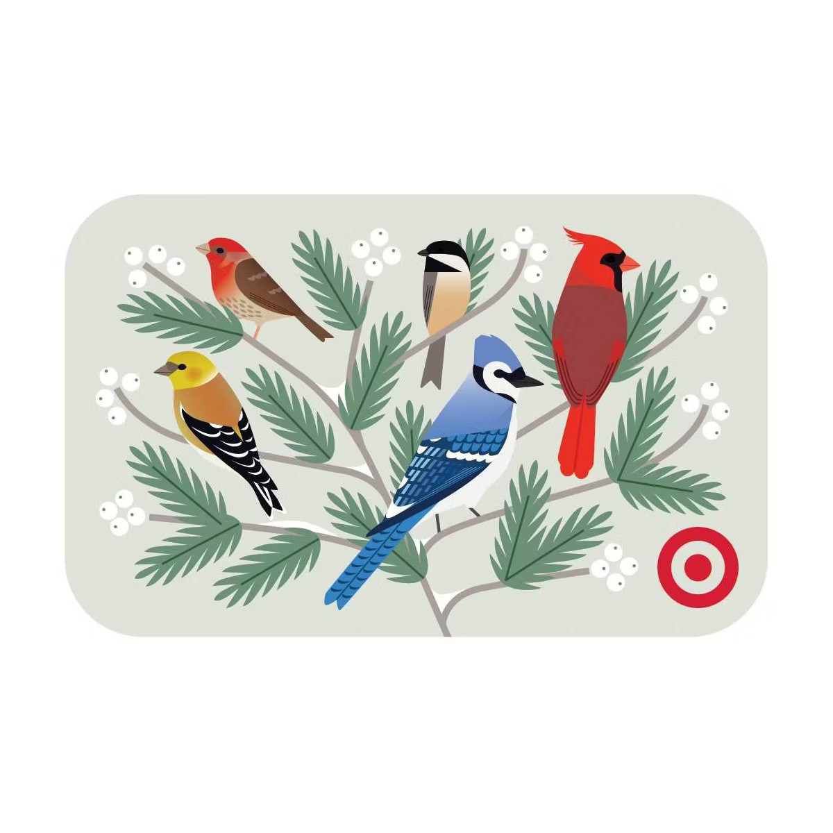 Winter Birds Target GiftCard | Target