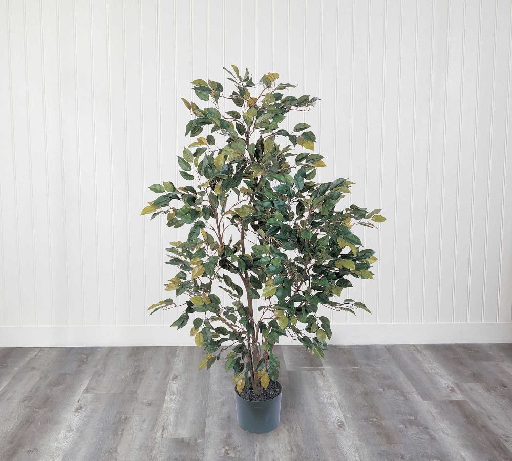 Faux Potted Ficus Tree | Pottery Barn (US)