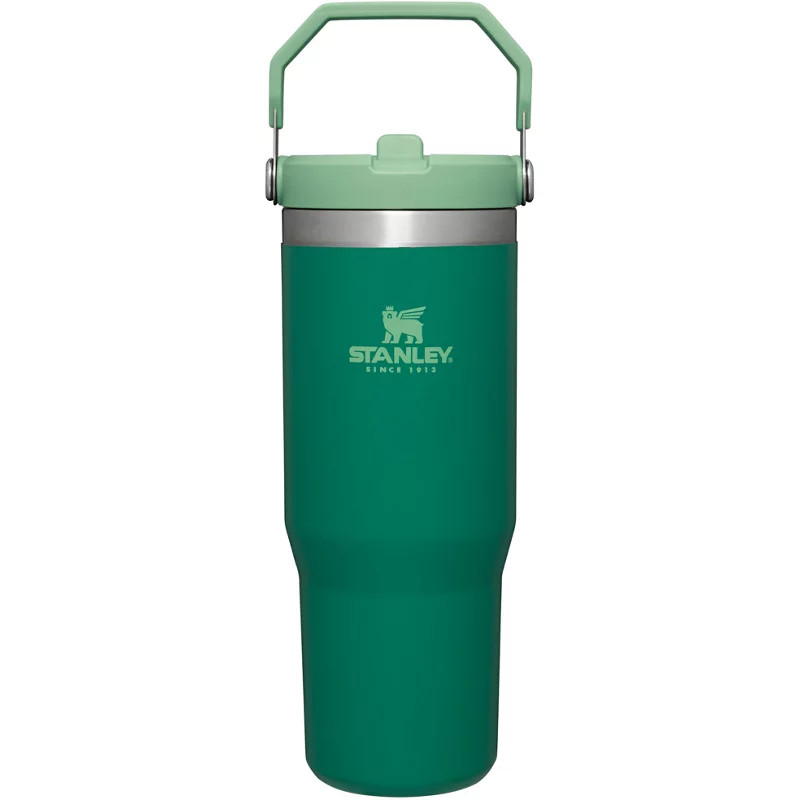 Stanley The IceFlow 30 oz Classic Flip Straw Tumbler Light Green - Thermos/Cups &koozies at Academy Sports | Academy Sports + Outdoors