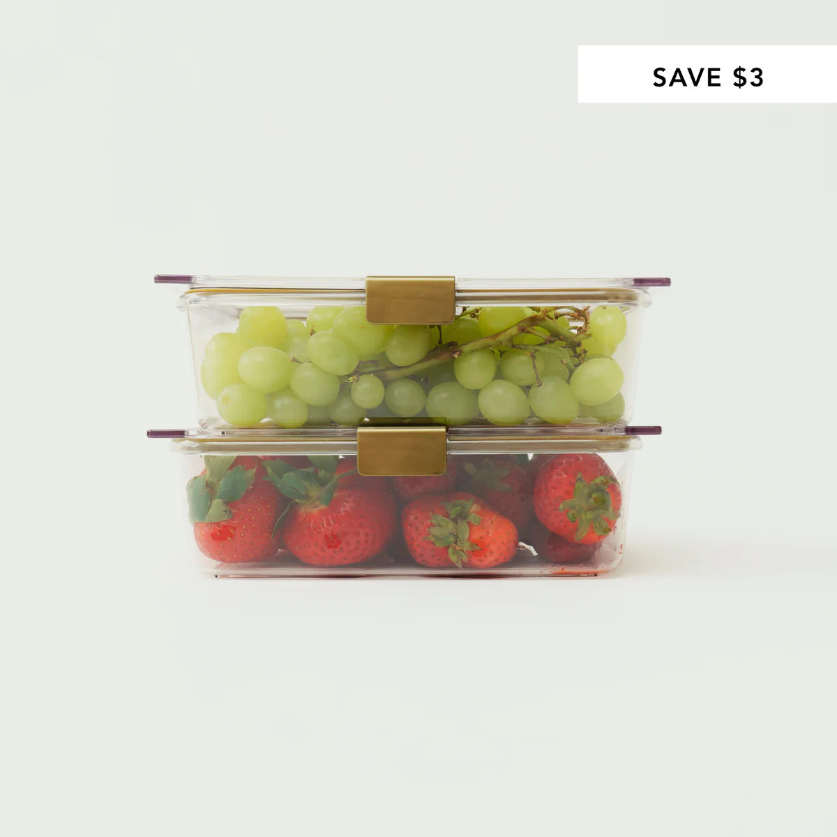 THE CONTAINER - 2 SET | Modern Picnic