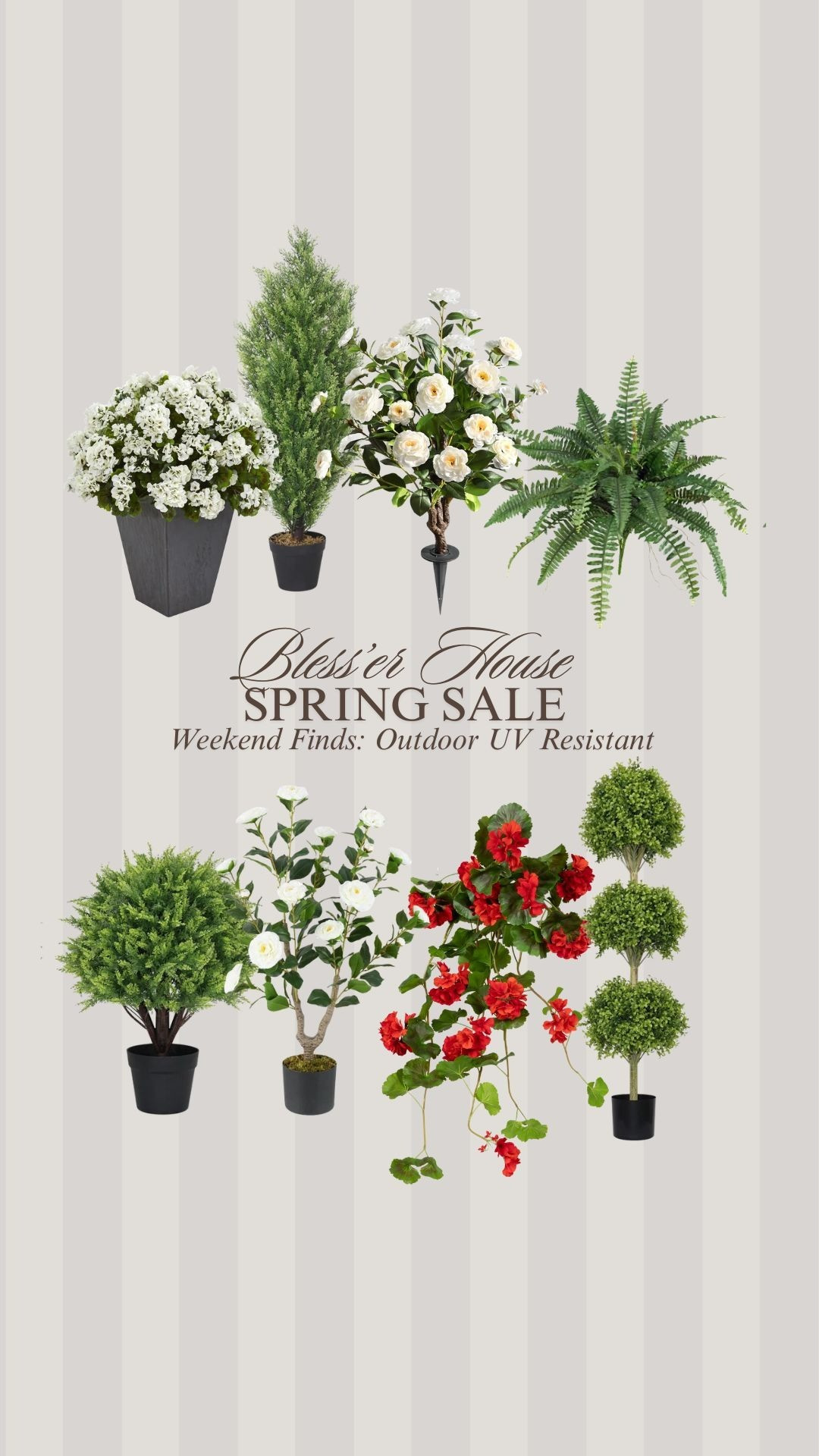 Outdoor plant sale!


uv treated resistant plants, front porch plant, decor 

 #LTKSpringSale #LTKSeasonal #LTKSaleAlert