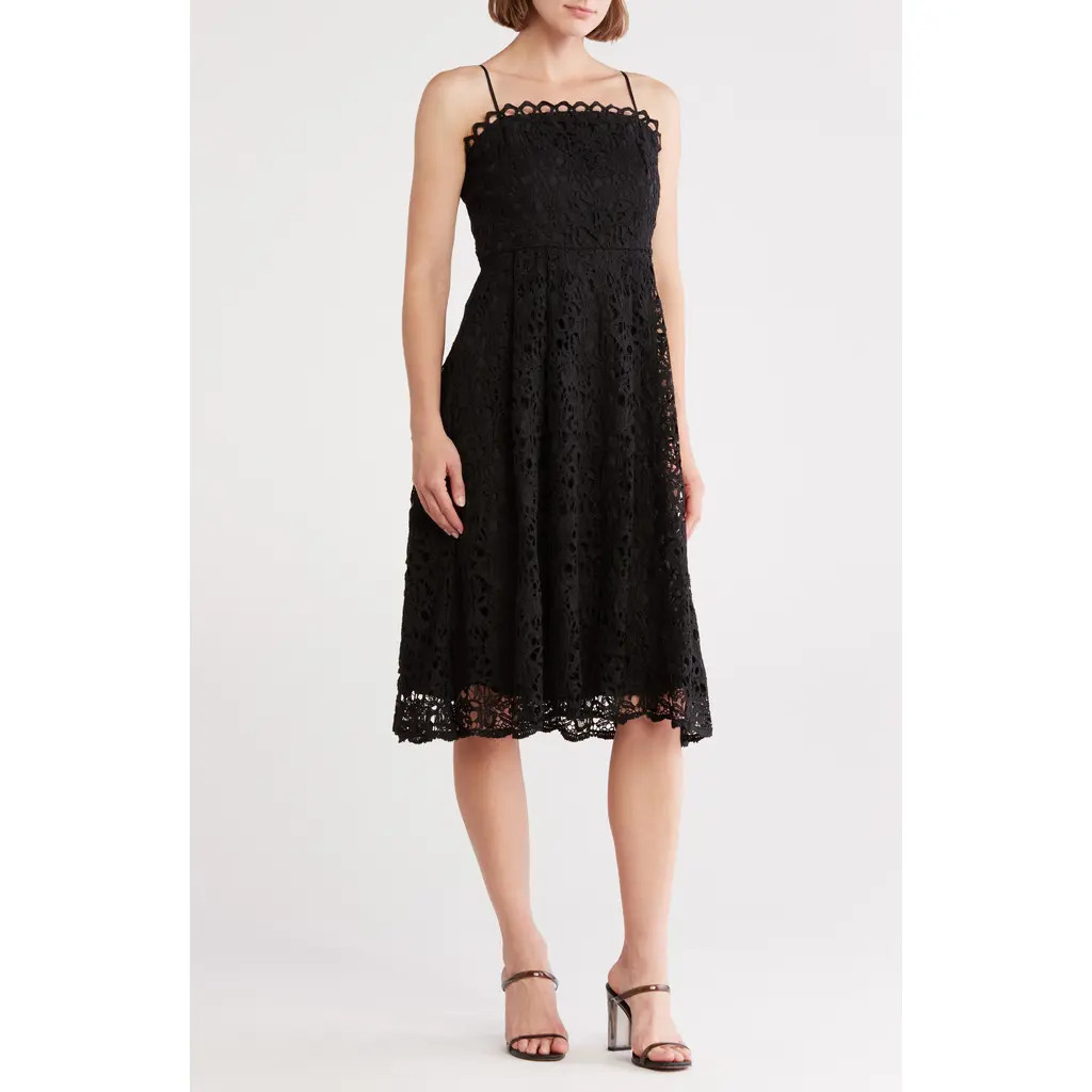 NSR Floral Lace Midi Dress in Black at Nordstrom Rack, Size Large | Nordstrom Rack