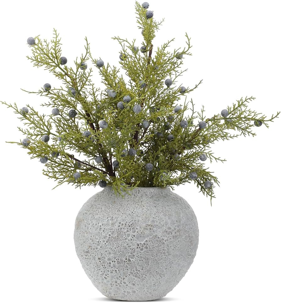 Giegxin 3 Pcs 18 Inch Artificial Juniper Cedar Sprays and Berries Branch Faux Cedar Stems Weather... | Amazon (US)