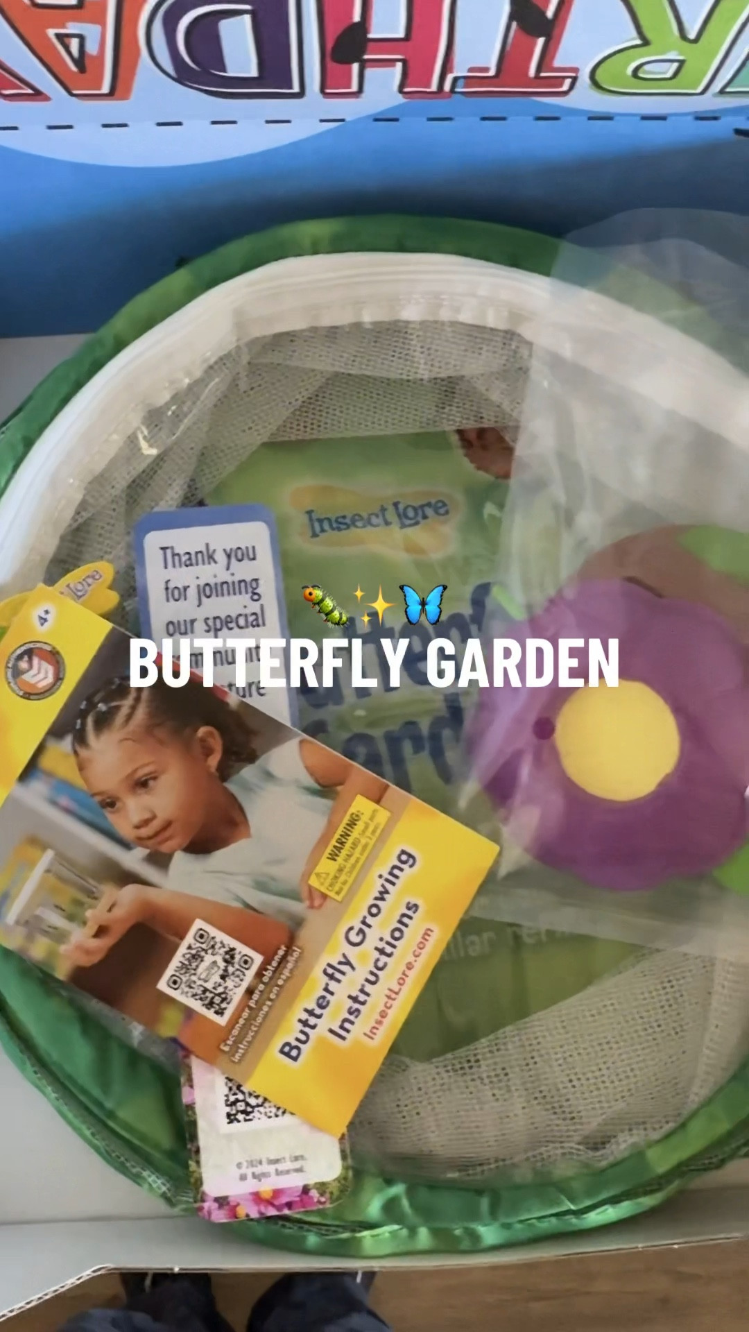 Toddler Summer Fun | Kids Activities | Toddler Activities | Kid Activities | Spring | Summer | School | Homeschool | Playroom | Parenting | Science 

#LTKVideo #LTKFamily #LTKKids