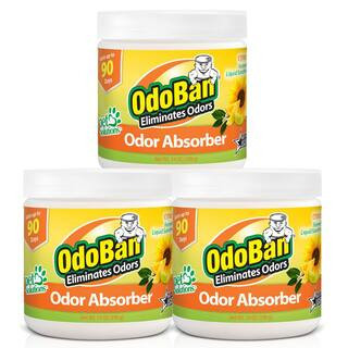 14 oz. Citrus Solid Odor Absorber, Odor Eliminator for Smoke Odor and Musty Smell in Home, Bathroom, Pet Areas (3-Pack) | The Home Depot