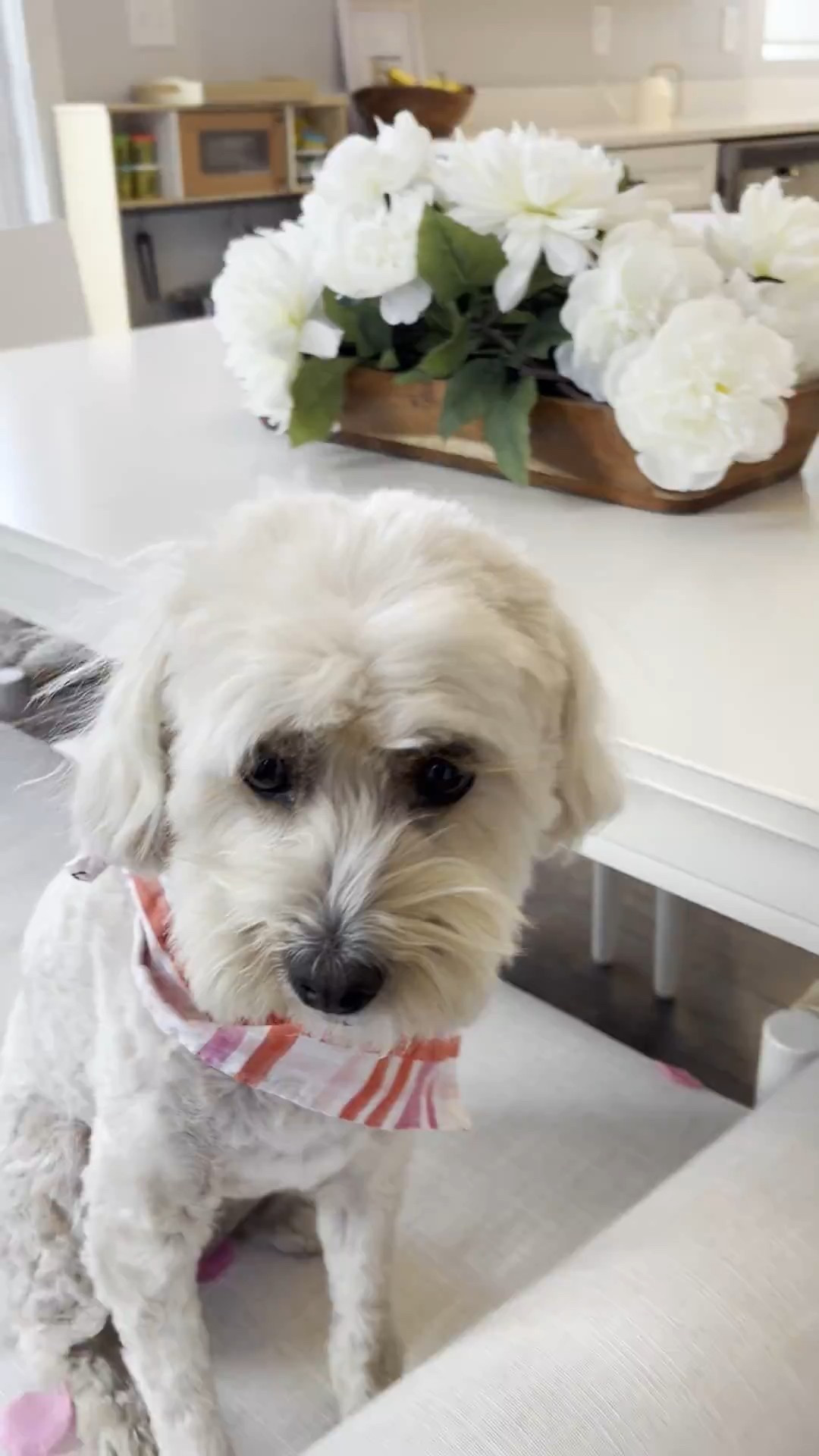 #LTKmomlife #LTKHome #LTKdayinmylife