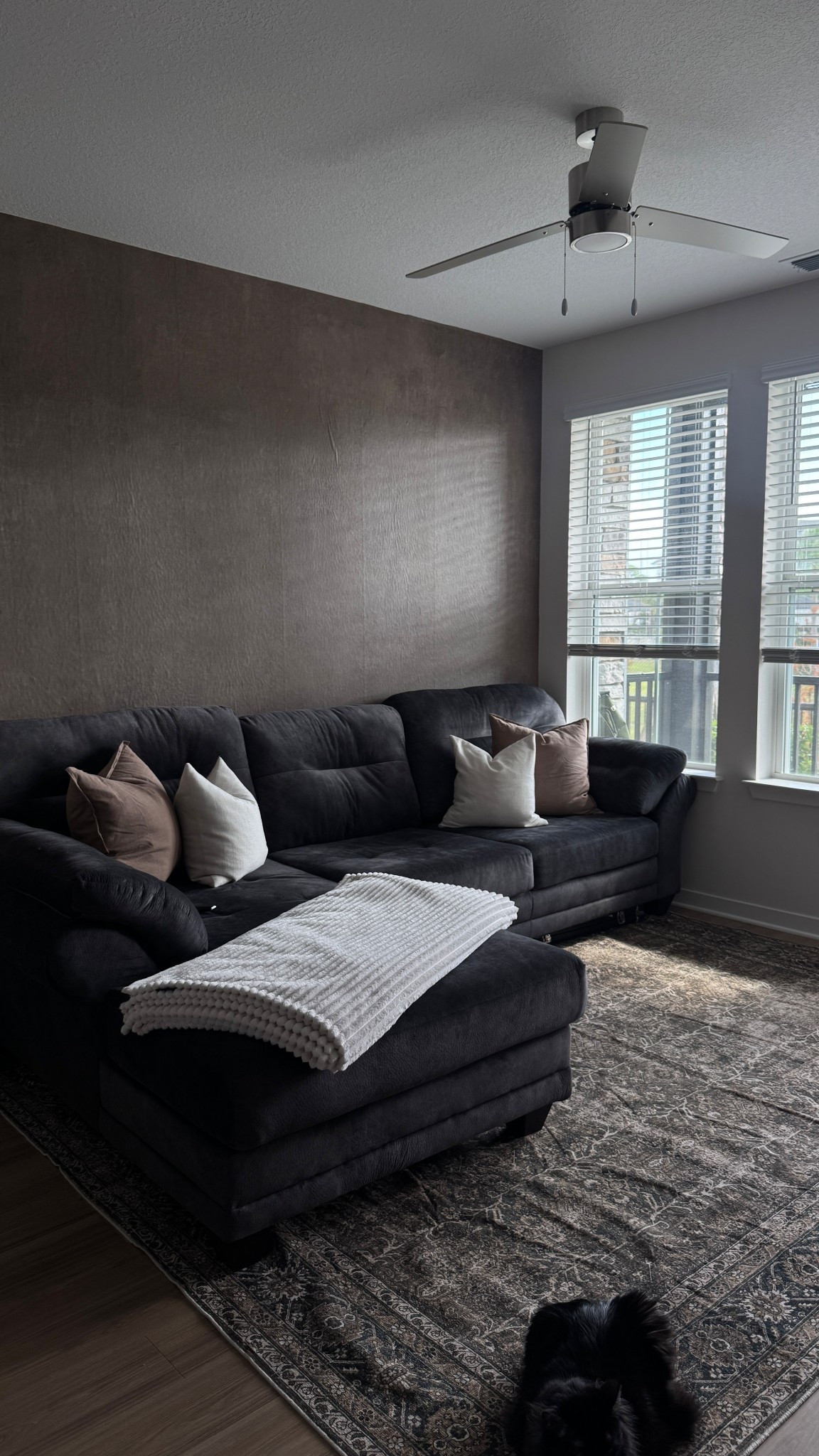 Darker cozy living room 

#LTKHome